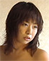 無料動画の宝庫