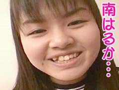 無料動画の宝庫